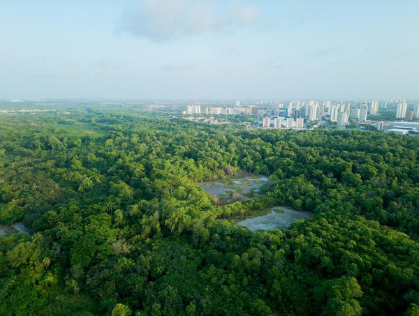 L'Impact du Féminisme sur la Scène Politique : Une Analyse Révolutionnaire